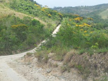 EL Macano, Cabuya, cerca de El Valle de Antón