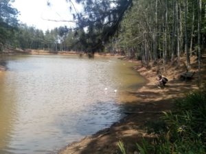 Lago de Cerro Azul